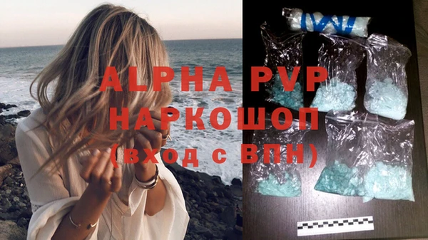 шишки Новодвинск