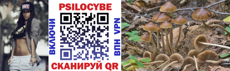 Галлюциногенные грибы мицелий  Гороховец 